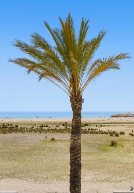 1ª Linea De Playa. Apartamento: La Calma Комарруга Екстер'єр фото