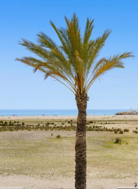 1ª Linea De Playa. Apartamento: La Calma Комарруга Екстер'єр фото